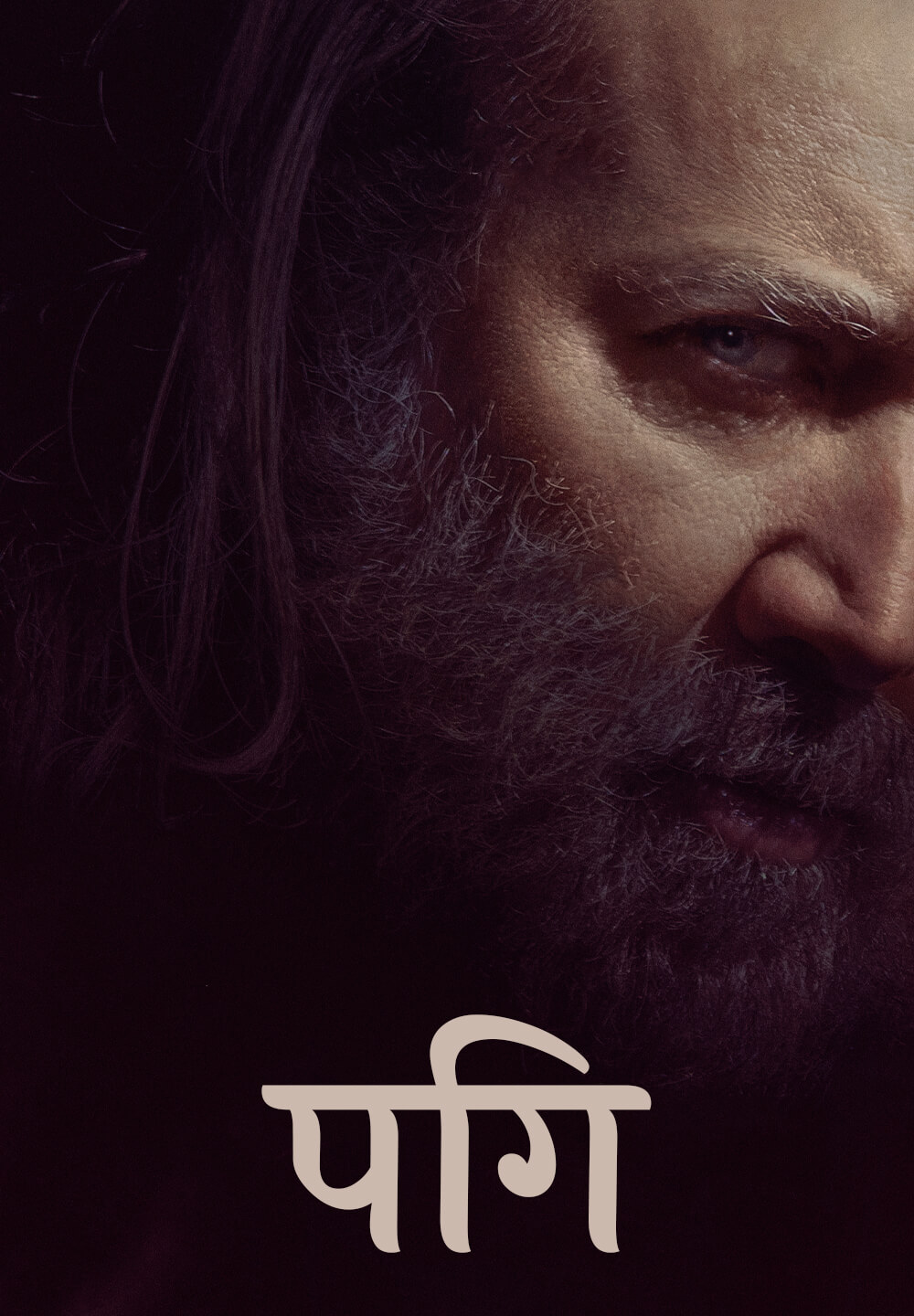 Pig / पिग (2021) [Hindi Dubbed]