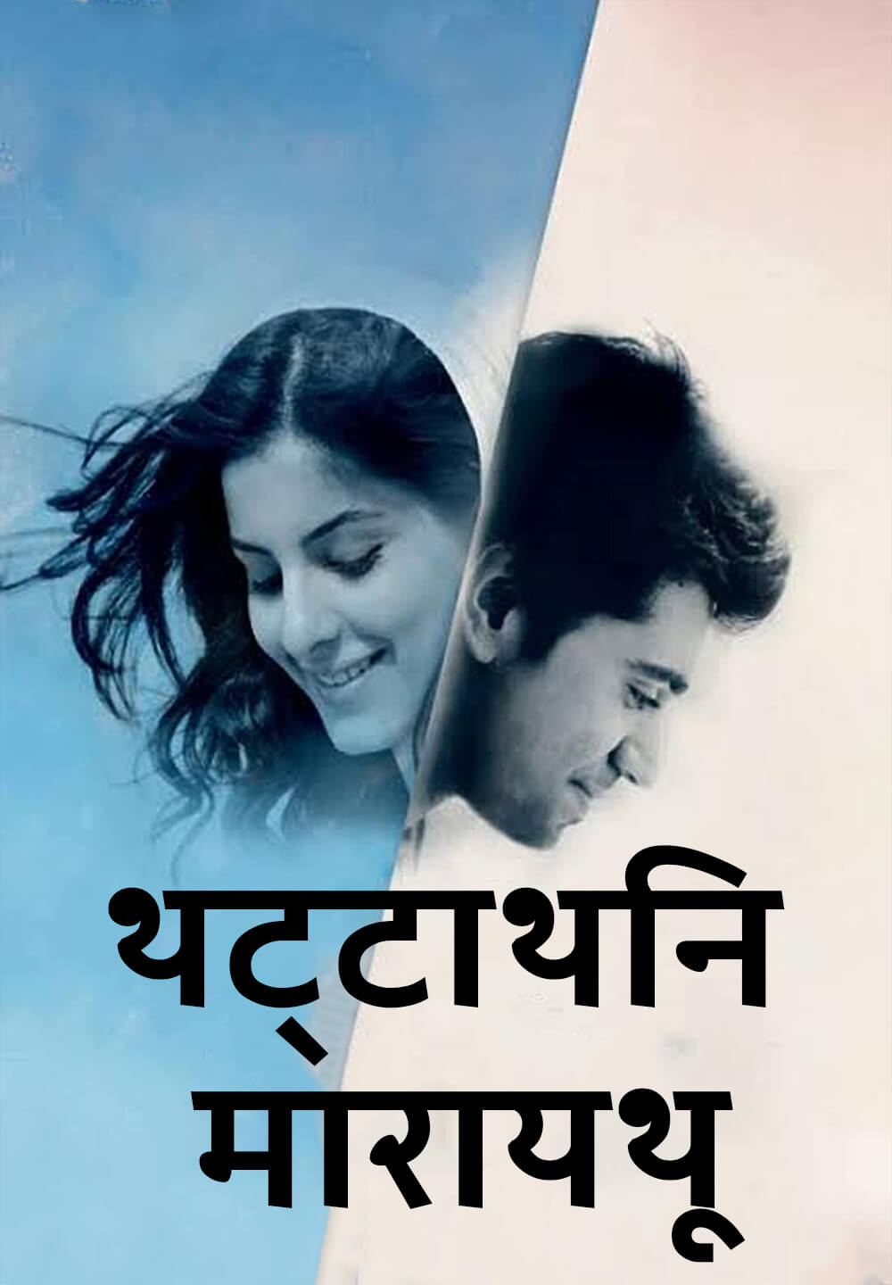 Thattathin Marayathu / थट्टाथिन मारायथू (2012) [Hindi Dubbed]