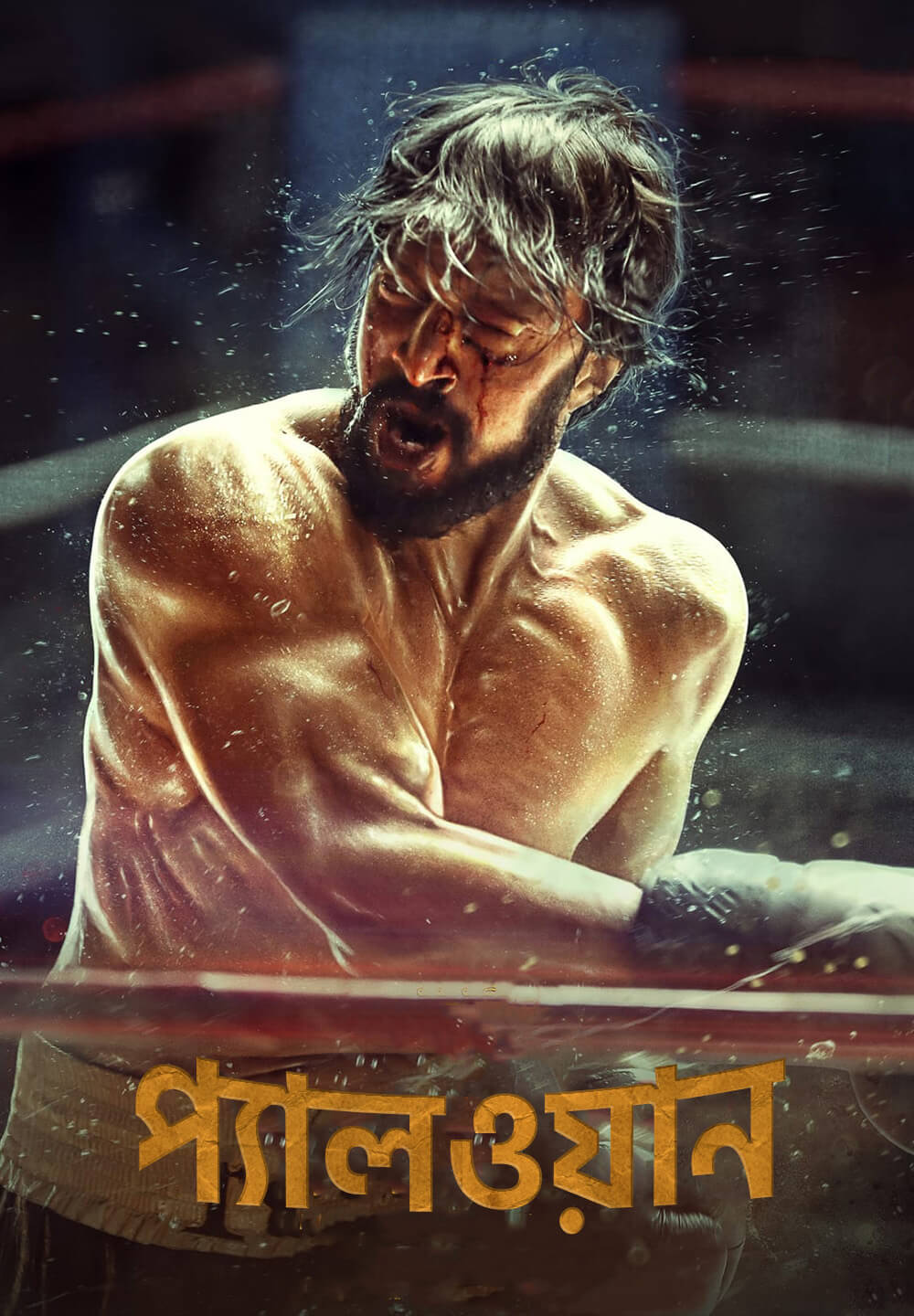 Pailwaan (2019) Bangla Dubbed Full Movie Download & Watch Online