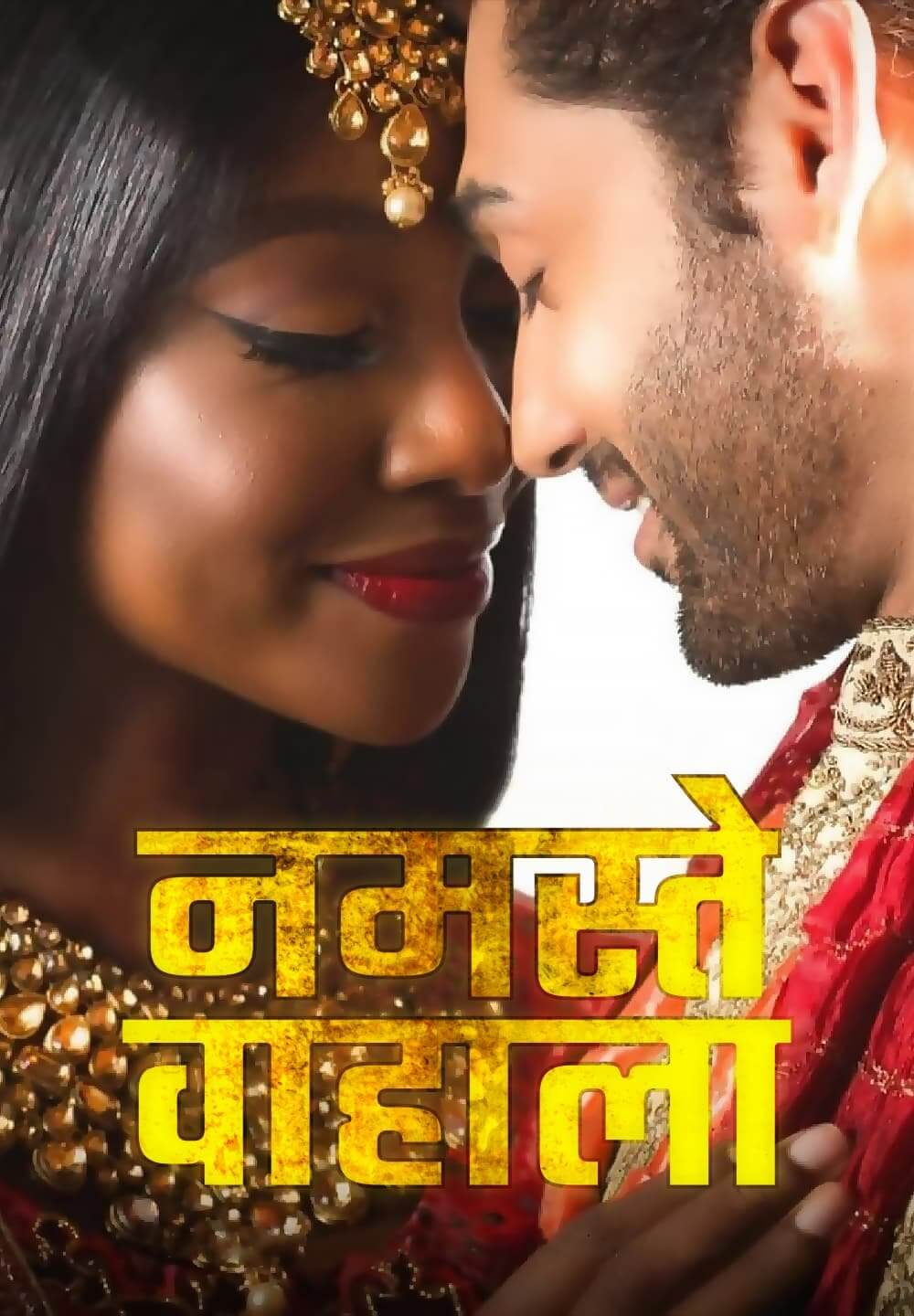 Namaste Wahala / नमस्ते वाहाला (2021) [Hindi Dubbed]