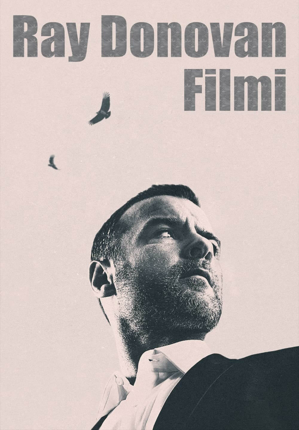 Ray Donovan: The Movie / Ray Donovan Filmi (2022) [Turkish Dubbed]