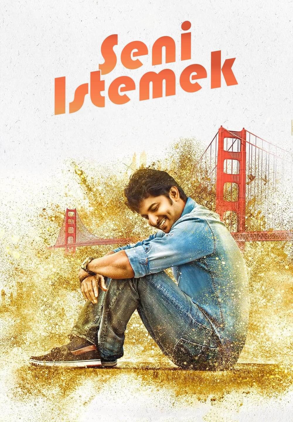 Ninnu Kori / Seni Istemek (2017) [Turkish Dubbed]
