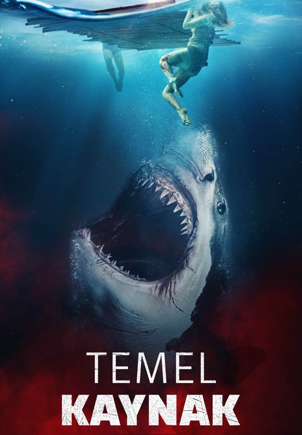 The Requin / Temel Kaynak (2022) [Turkish Dubbed]