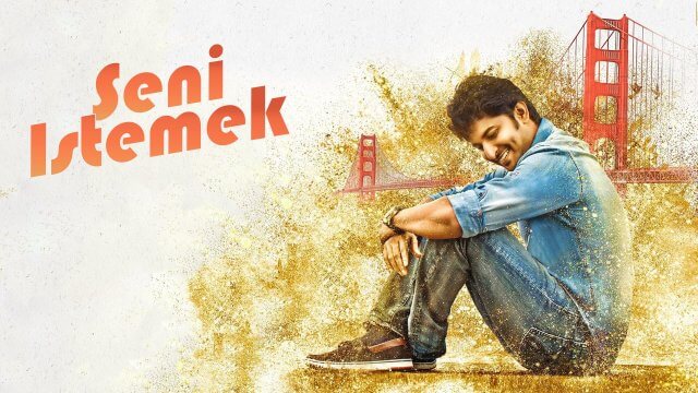 Ninnu Kori / Seni Istemek (2017) [Turkish Dubbed]