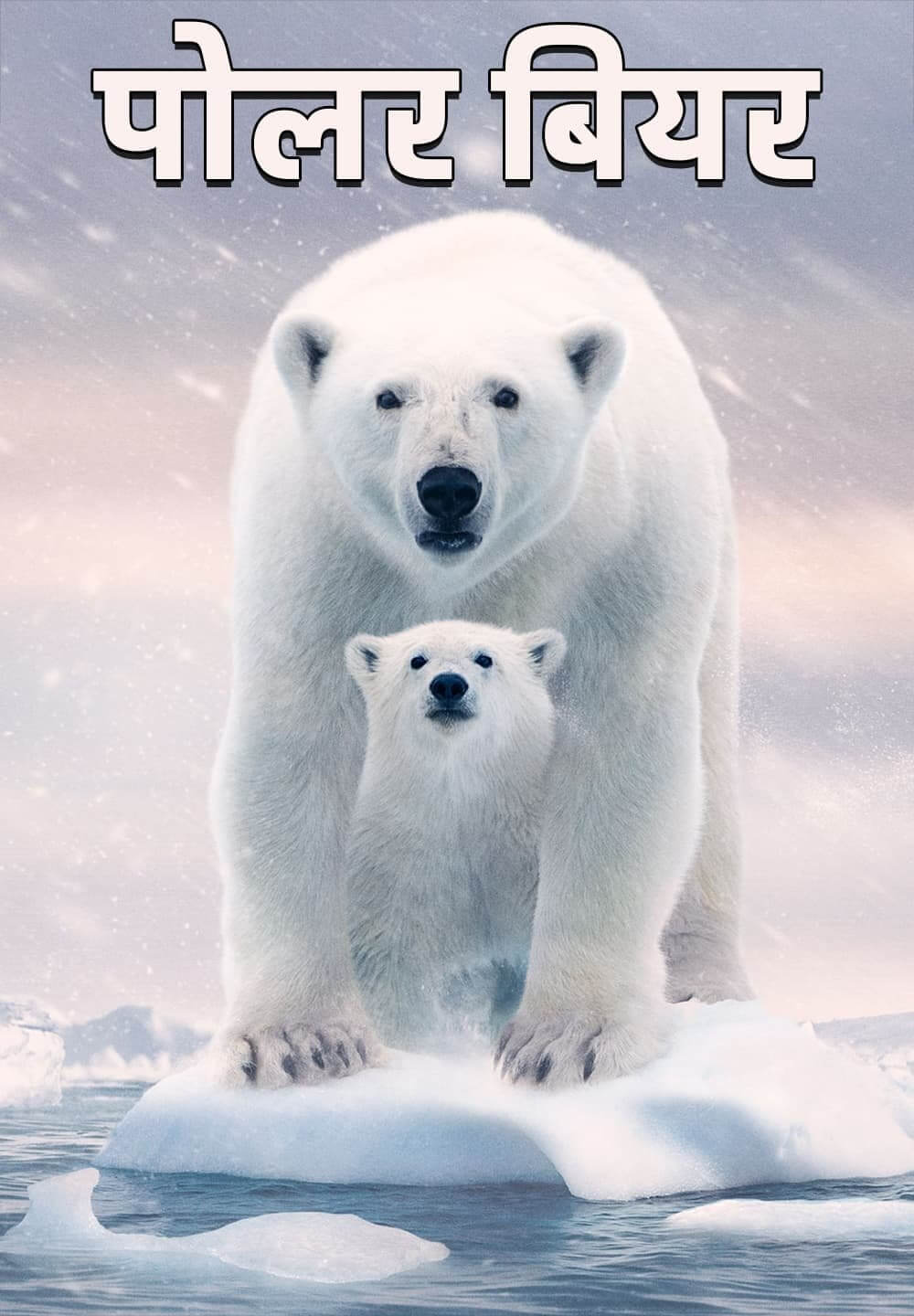Polar Bear / पोलर बियर (2022) [Hindi Dubbed]