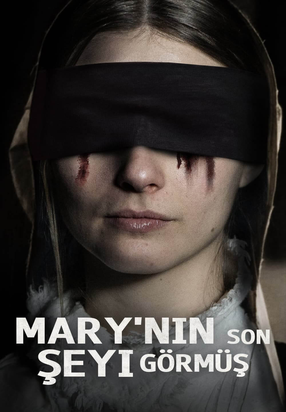 The Last Thing Mary Saw / Mary'nın Son Şeyı Görmüş (2021) [Turkish Dubbed]