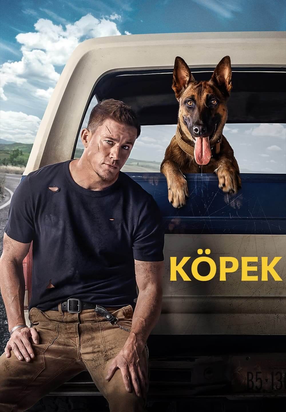 Dog / Köpek (2022) [Turkish Dubbed]
