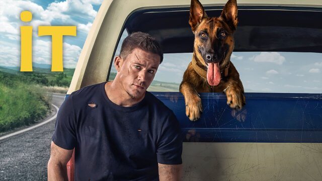 Dog / İt (2022) [Azerbaijani Dubbed]