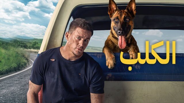 Dog / الكلب (2022) [Arabic Dubbed]