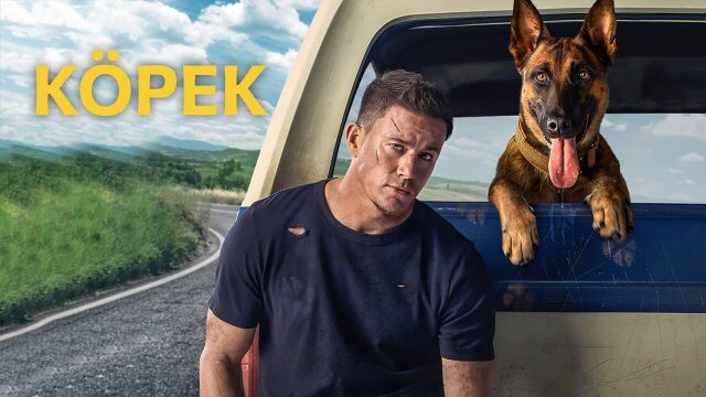 Dog / Köpek (2022) [Turkish Dubbed]