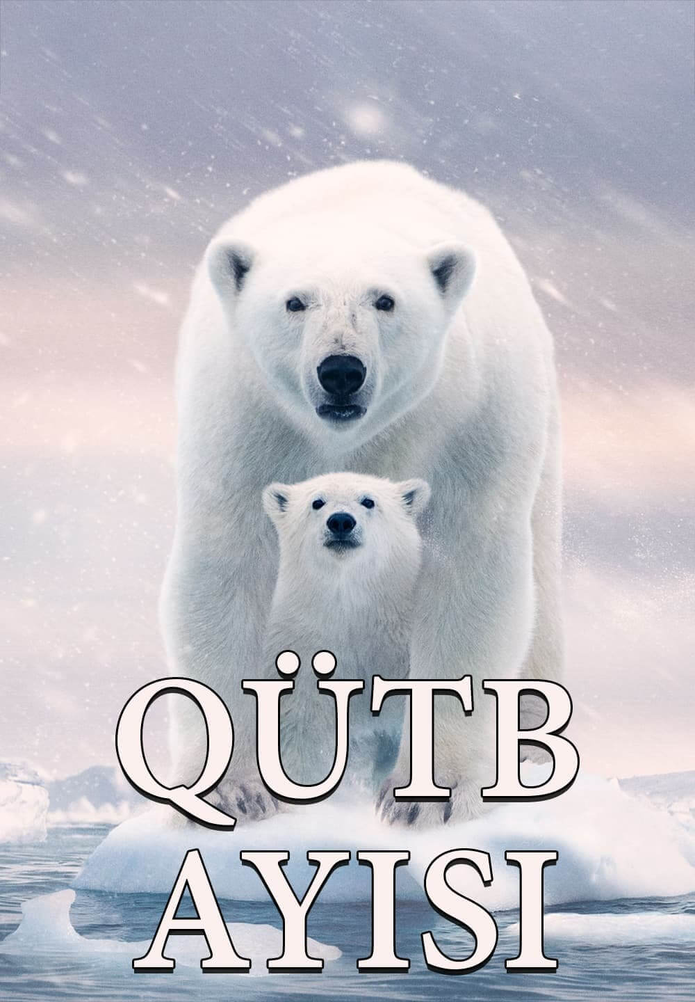 Polar Bear / Qütb Ayısı (2022) [Azerbaijani Dubbed]