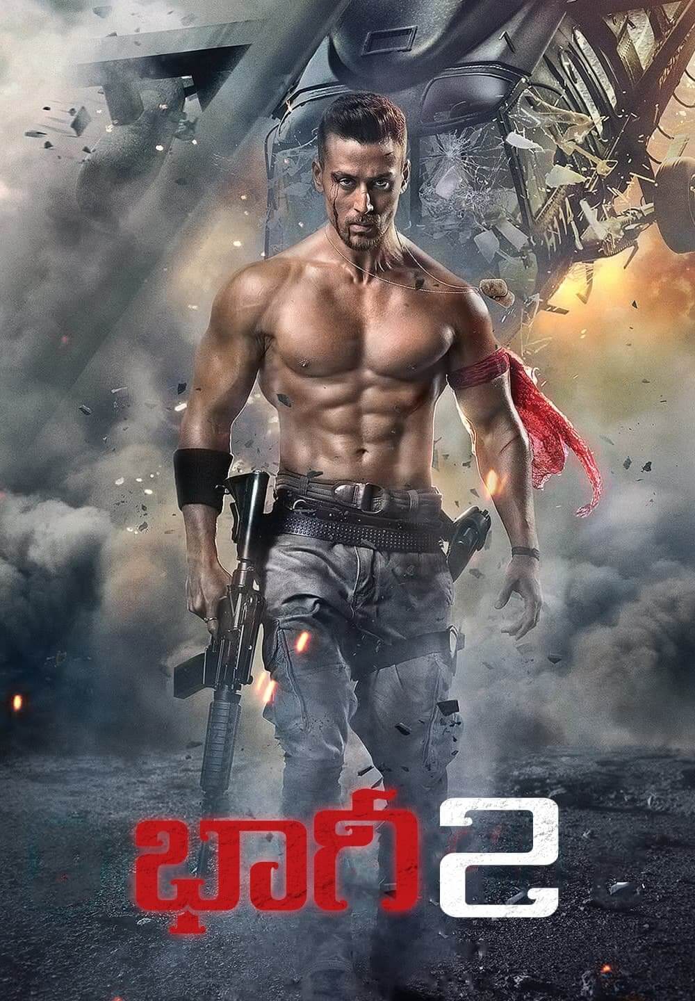 Baaghi 2 / భాగీ 2 (2018) [Telugu Dubbed]