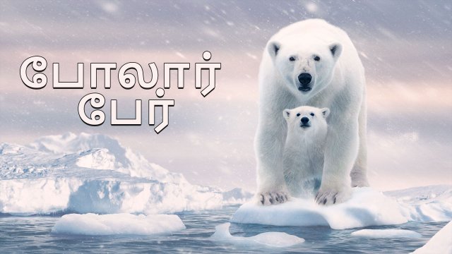 Polar Bear / போலார் பேர் (2022) [Tamil Dubbed]